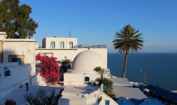 TUNISIE : DJERBA ATTEND IMPATIEMMENT LE RETOUR DES TOURISTES - BLOG