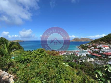 LOCATION VILLA ART 2CH - VUE LAGON TURQUOISE A FLAMANDS - SAINT BARTHELEMY 