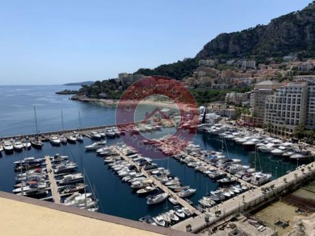 SUBLIME APPARTEMENT FAMILIAL VUE MER DE 4 CHAMBRES A FONTVIEILLE - MONACO 