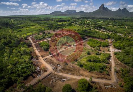 DERNIÈRE OPPORTUNITÉ : TERRAIN EXCLUSIF AU CŒUR DE LA FORÊT DE WOLMAR – ILE MAURICE