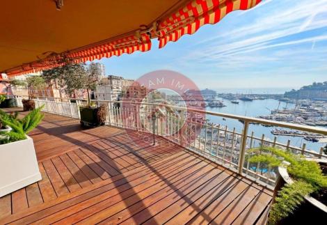 SUPERBE APPARTEMENT AVEC VUE SUR LE PORT ET LE GRAND PRIX DE MONACO