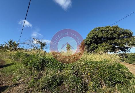 GRAND TERRAIN AVEC PERMIS DE CONSTRUIRE POUR 3 VILLAS PROCHE FORET DARUTY – ILE MAURICE
